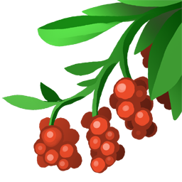 Heart Thorn Berries